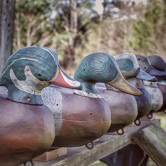 Collectors Series Decoys – DECOY