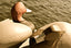 Finished Decoys