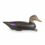 antique wood black duck decoy