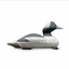 antique bufflehead drake decoy