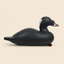 antique surf scoter decoy