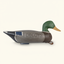 vintage wood mallard drake decoy
