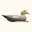 antique wigeon drake decoy urn