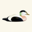 antique common eider decoy