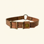 DECOY Leather Dog Collar Fall 26 with brass hardware