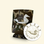 DECOY Neoprene Koozie Promo Pack in Old School Camo