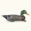 antique mallard drake decoy urn