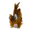Ladies sporting fedora hat feather decoration