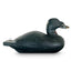 antique surf scoter decoy
