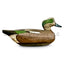 antique wigeon decoy